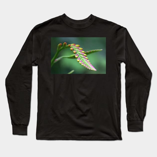 Lily buds Long Sleeve T-Shirt by ikshvaku